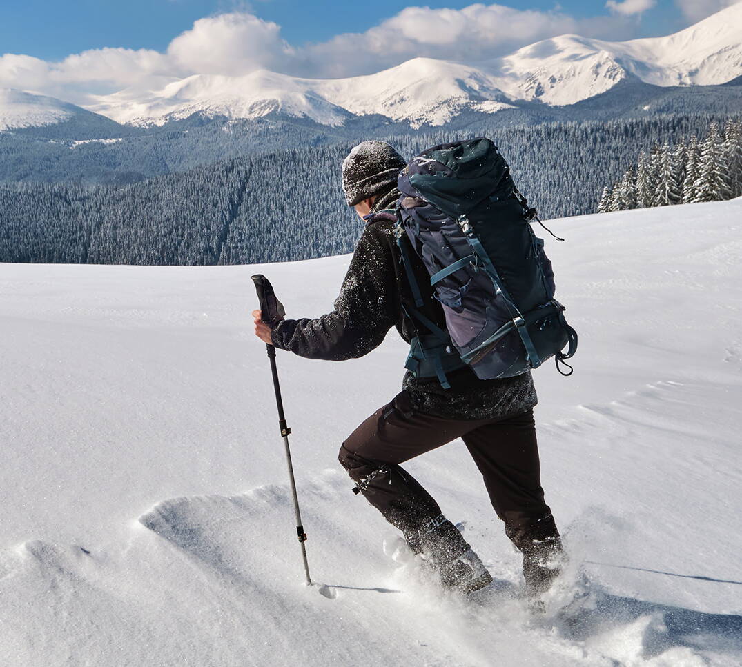 In squadra è meglio che da soli: i vantaggi di una collaborazione con PRO VITA AG